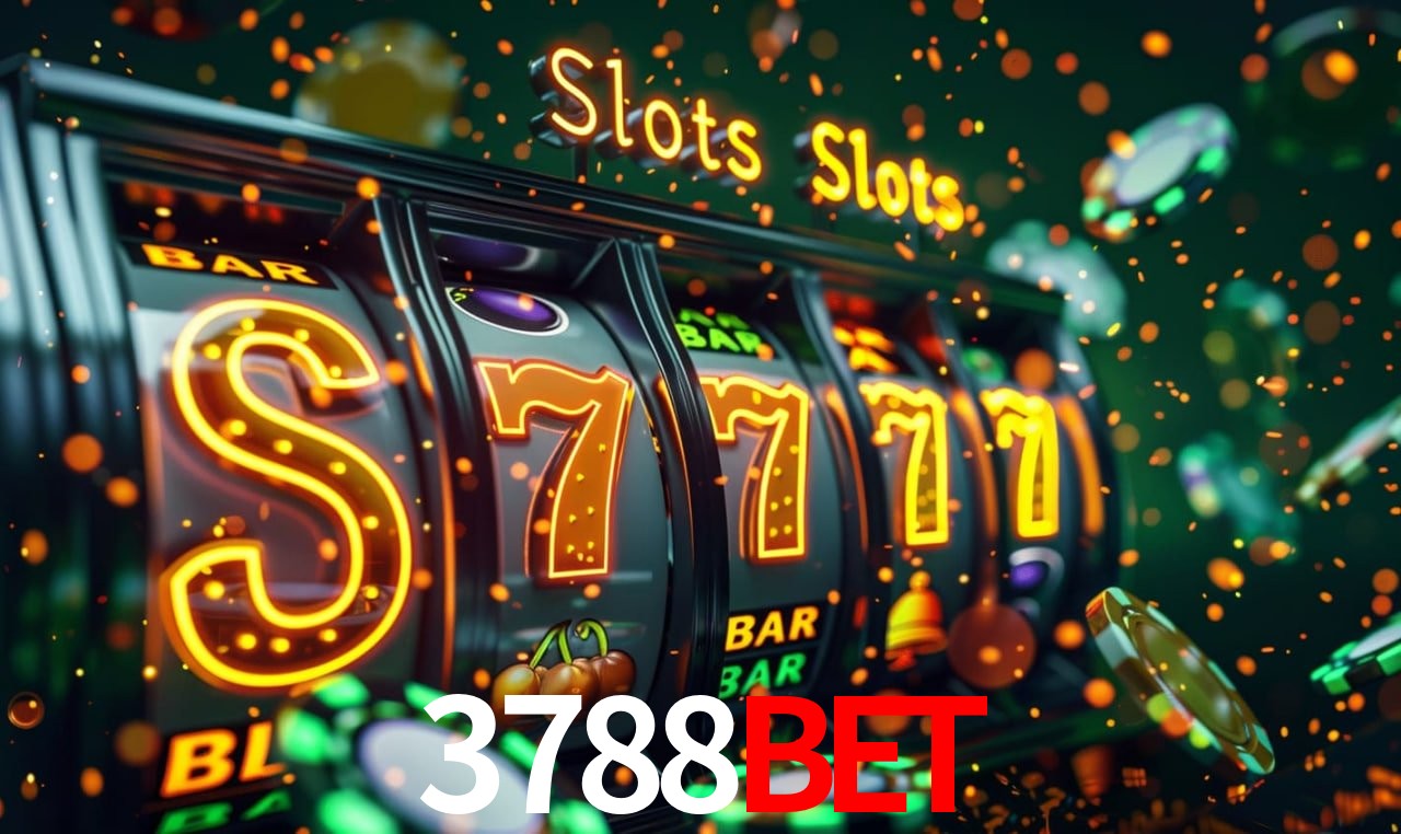 Experiência VIP 3788bet